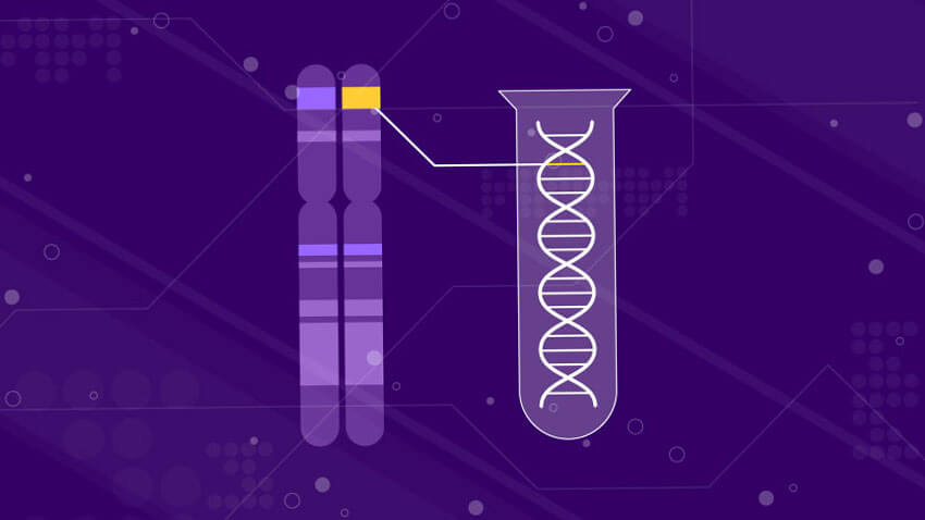 基因检测DNA染色体3